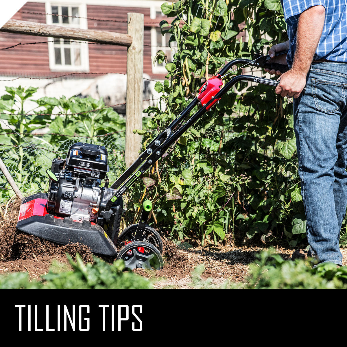 Top 7 Garden Tilling Tips