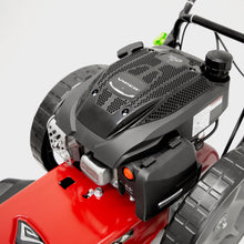 Load image into Gallery viewer, Earthquake Walk Behind String Mower 160cc 4-Cycle Engine