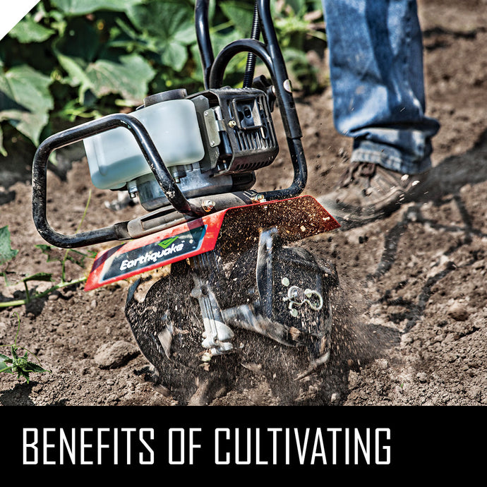 Benefits of Cultivating