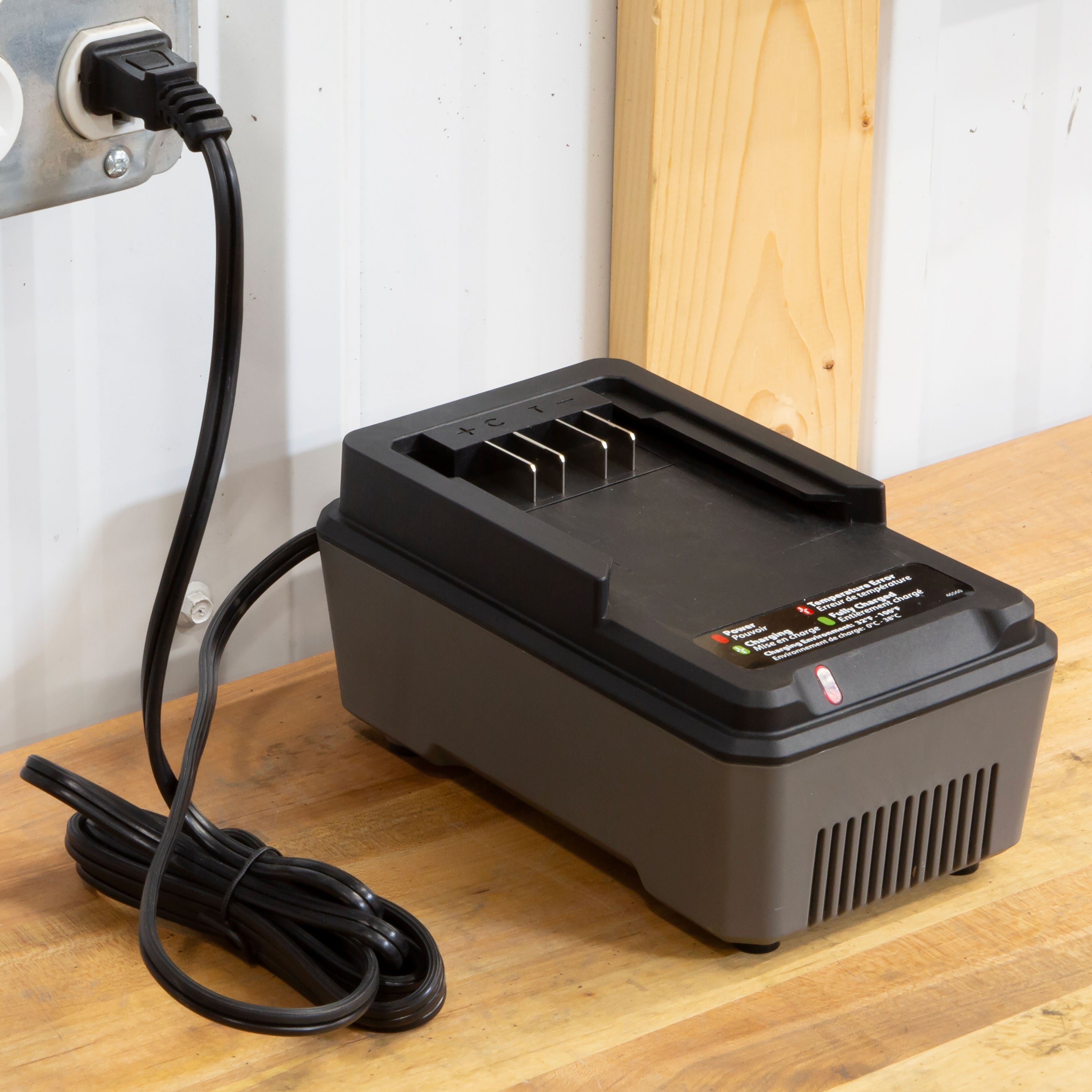 60V Charger (47578)