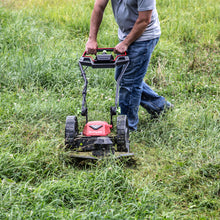 Load and play video in Gallery viewer, Earthquake 60V String Mower
